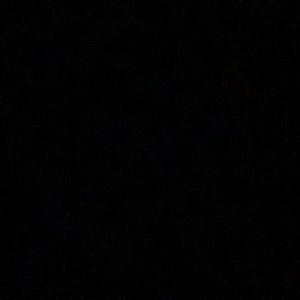 Meet your Posher, Ray